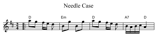 Needle Case - staff notation