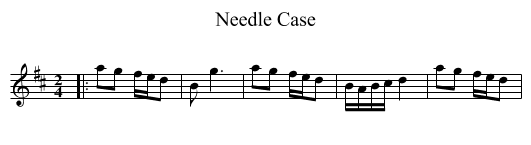 Needle Case - staff notation