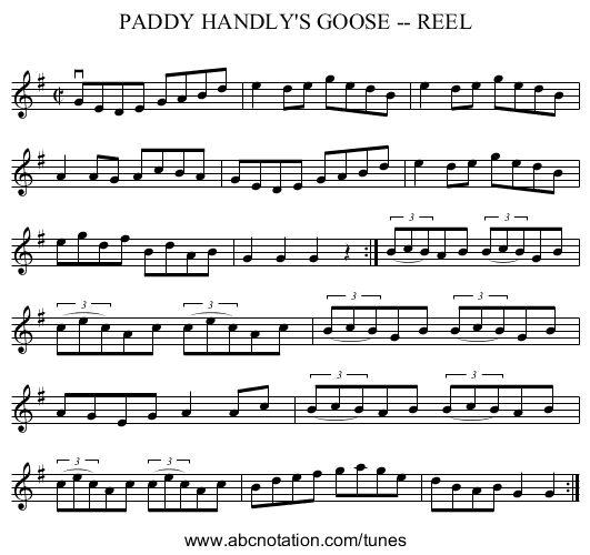 PADDY HANDLY'S GOOSE -- REEL - staff notation