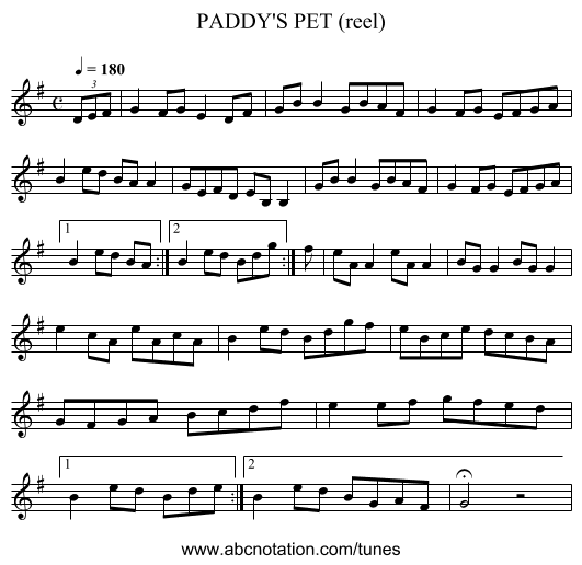 PADDY'S PET (reel) - staff notation