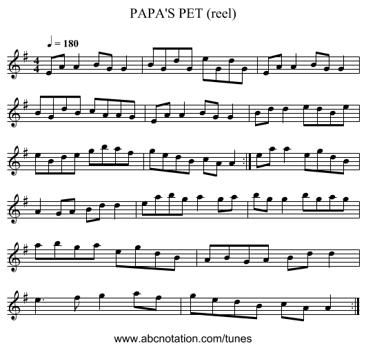 PAPA'S PET (reel) - staff notation