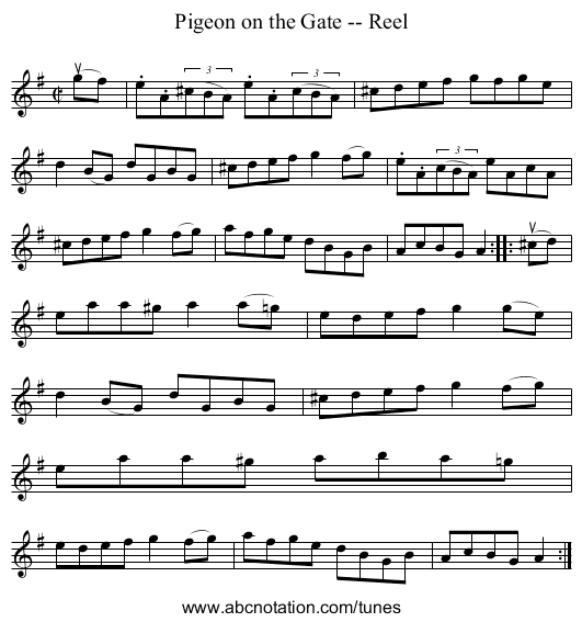 Pigeon on the Gate -- Reel - staff notation