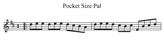 Pocket Size Pal - staff notation