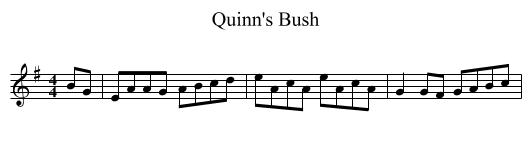 Quinn's Bush - staff notation