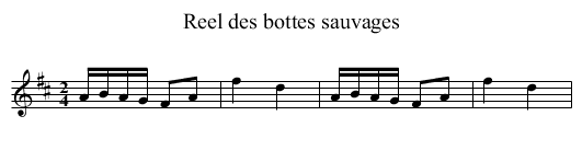Reel des bottes sauvages - staff notation