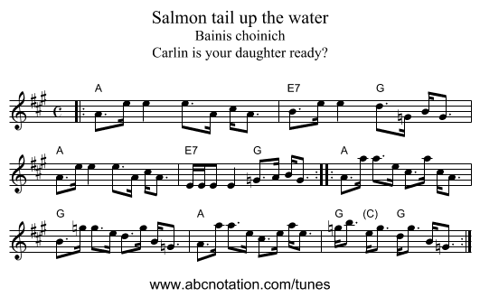 Salmon tail up the water - staff notation
