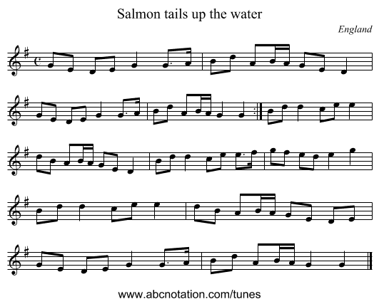 Salmon tails up the water - staff notation