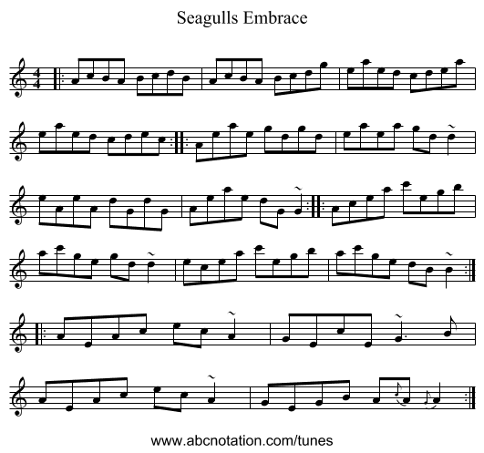 Seagulls Embrace - staff notation