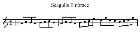 Seagulls Embrace - staff notation