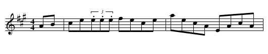 Sean McGuire’s (Reel [1]) - staff notation