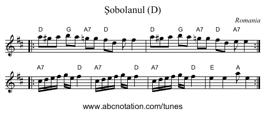 Şobolanul (D) - staff notation