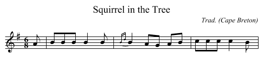 Squirrel in the Tree - staff notation