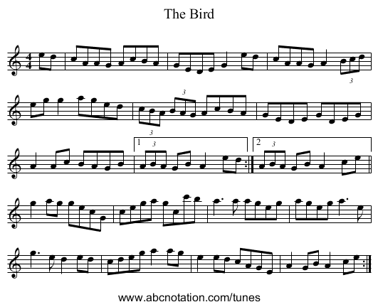 The Bird - staff notation