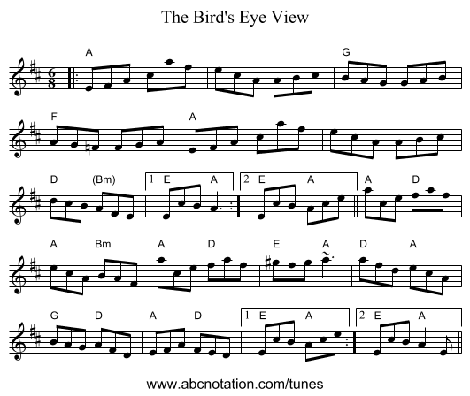 The Bird's Eye View - staff notation