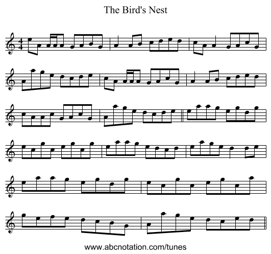 The Bird's Nest - staff notation