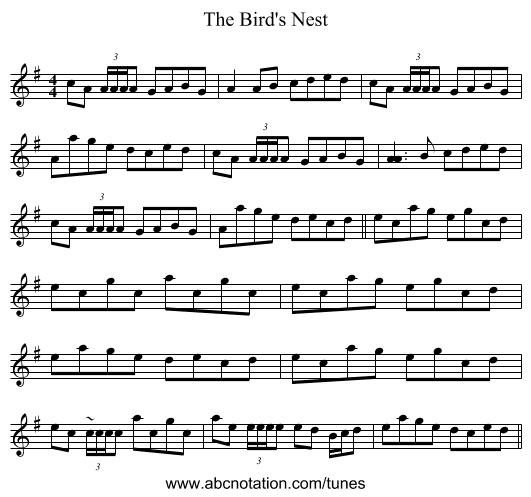 The Bird's Nest - staff notation