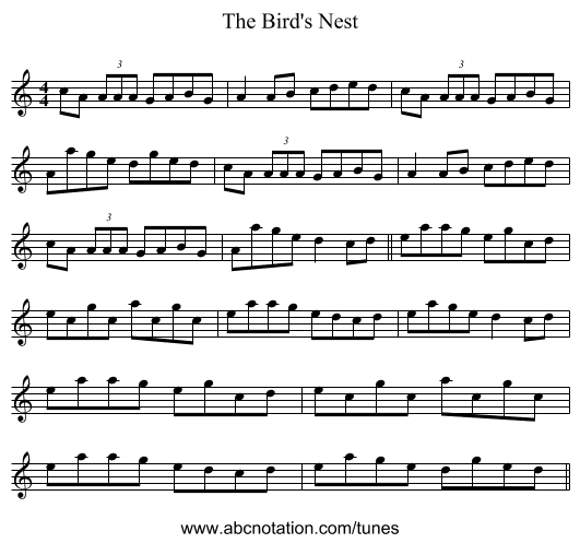 The Bird's Nest - staff notation