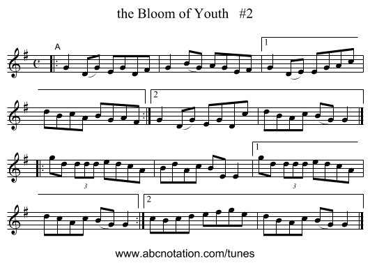 the Bloom of Youth #2 - staff notation