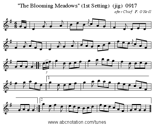 The Blooming Meadows (1st Setting) (jig) 0917 - staff notation
