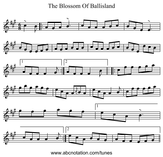 The Blossom Of Ballisland - staff notation