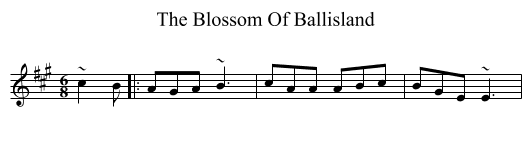 The Blossom Of Ballisland - staff notation