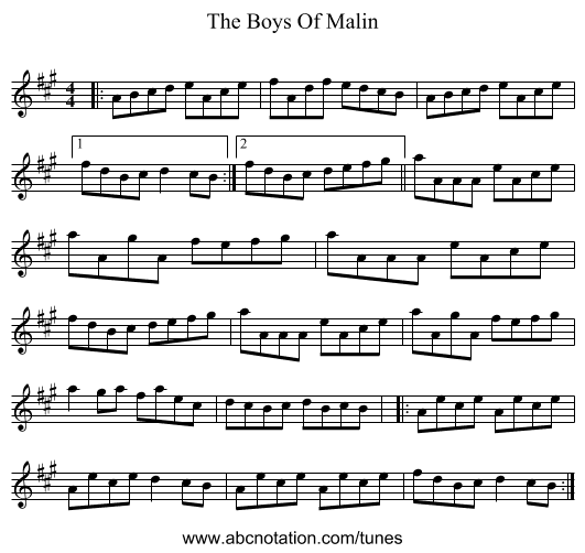 The Boys Of Malin - staff notation