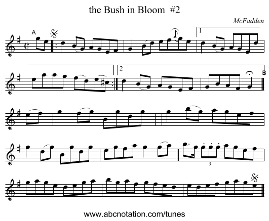 the Bush in Bloom  #2 - staff notation