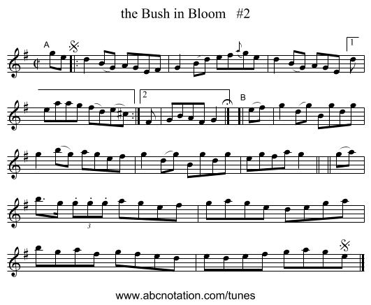 the Bush in Bloom #2 - staff notation