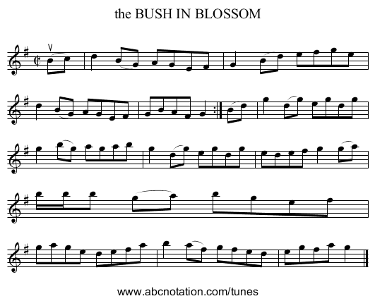 the BUSH IN BLOSSOM - staff notation