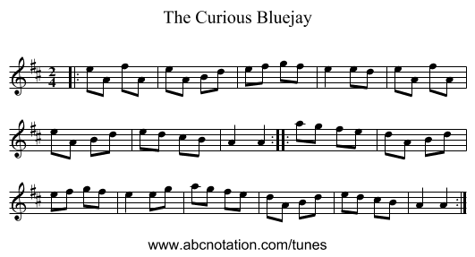 The Curious Bluejay - staff notation