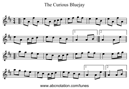 The Curious Bluejay - staff notation