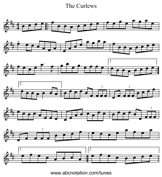 The Curlews - staff notation