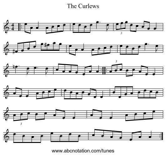 The Curlews - staff notation