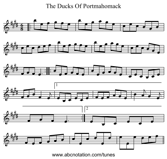 The Ducks Of Portmahomack - staff notation