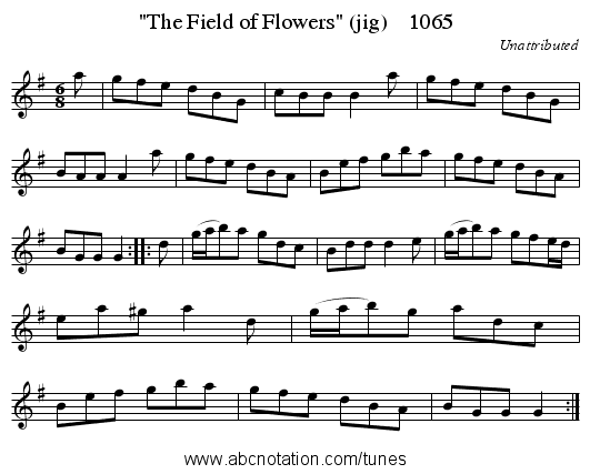 The Field of Flowers (jig)    1065 - staff notation