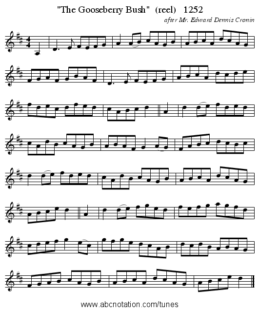 The Gooseberry Bush  (reel)   1252 - staff notation