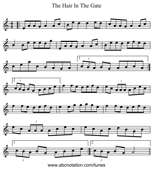The Hair In The Gate - staff notation