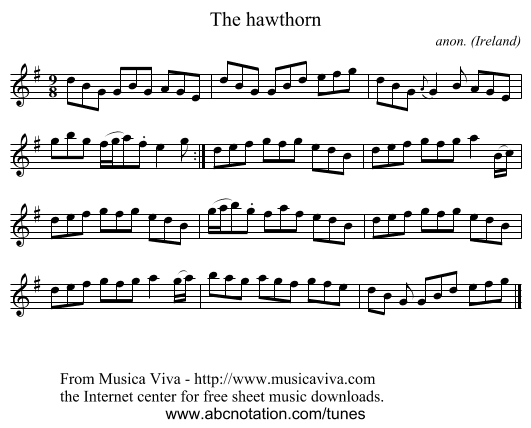 The hawthorn - staff notation
