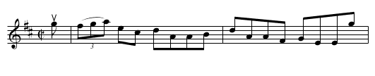 The Irish Rover's -- Reel - staff notation