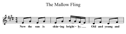 The Mallow Fling - staff notation