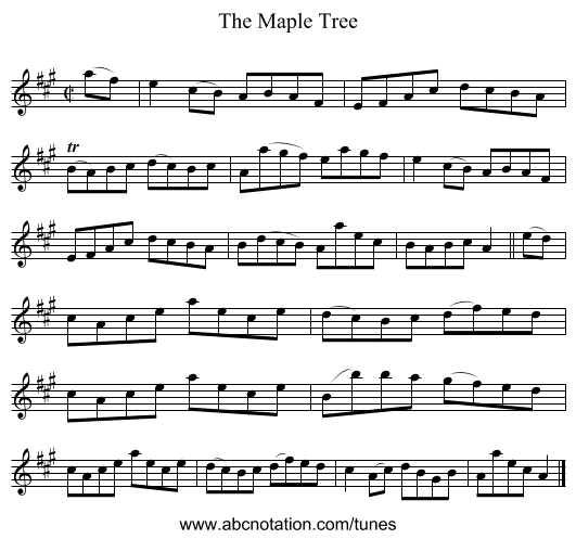The Maple Tree - staff notation