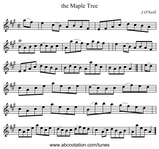 the Maple Tree - staff notation