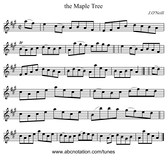 the Maple Tree - staff notation