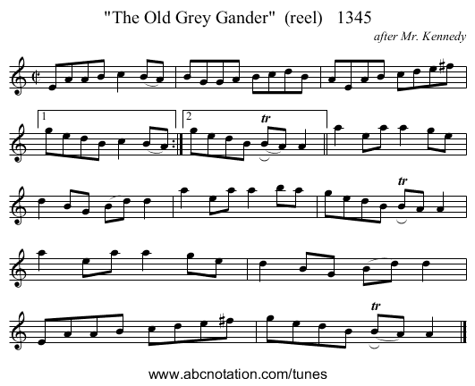 The Old Grey Gander (reel) 1345 - staff notation