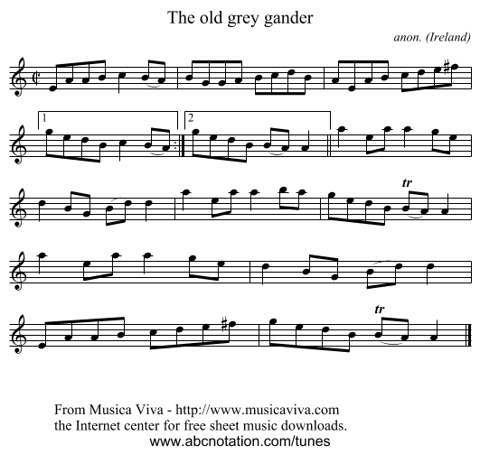 The old grey gander - staff notation