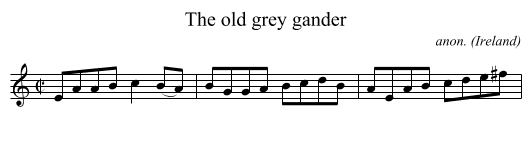 The old grey gander - staff notation