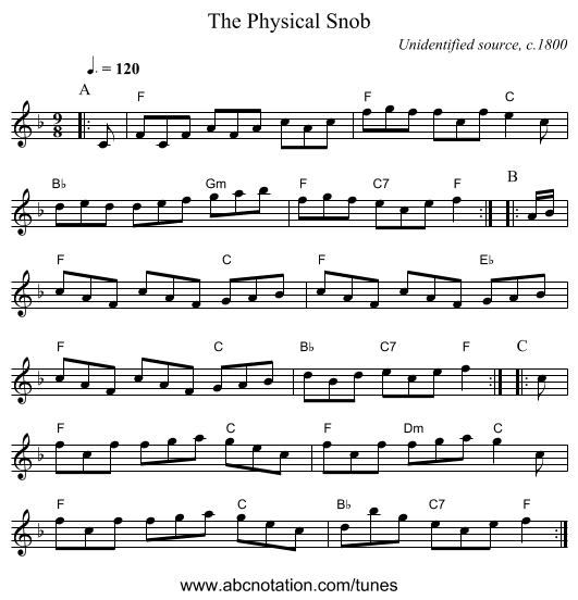 The Physical Snob - staff notation