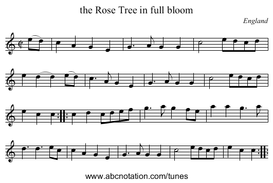 the Rose Tree in full bloom - staff notation