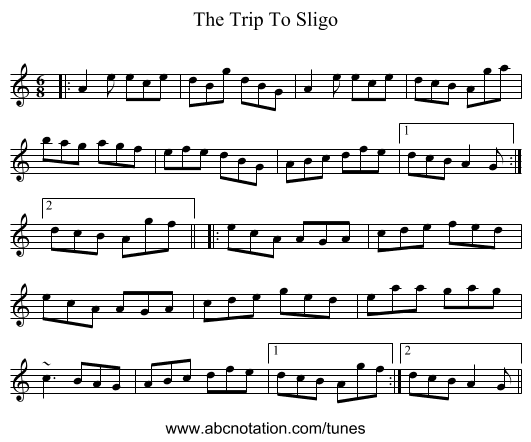 The Trip To Sligo - staff notation
