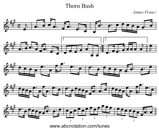 Thorn Bush - staff notation